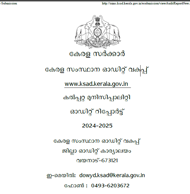 Audit report